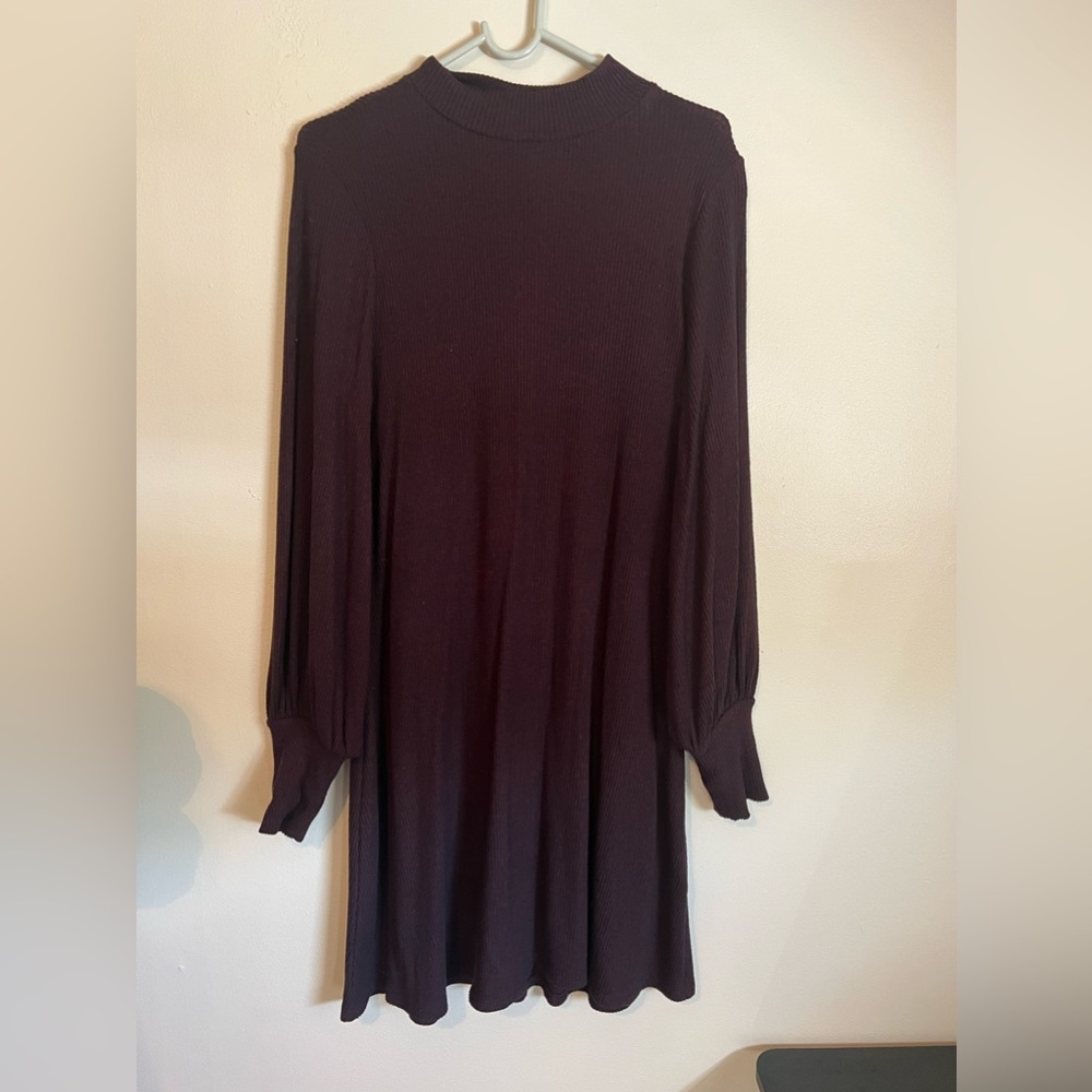 Express Women’s Maroon Collared Sweater Dress